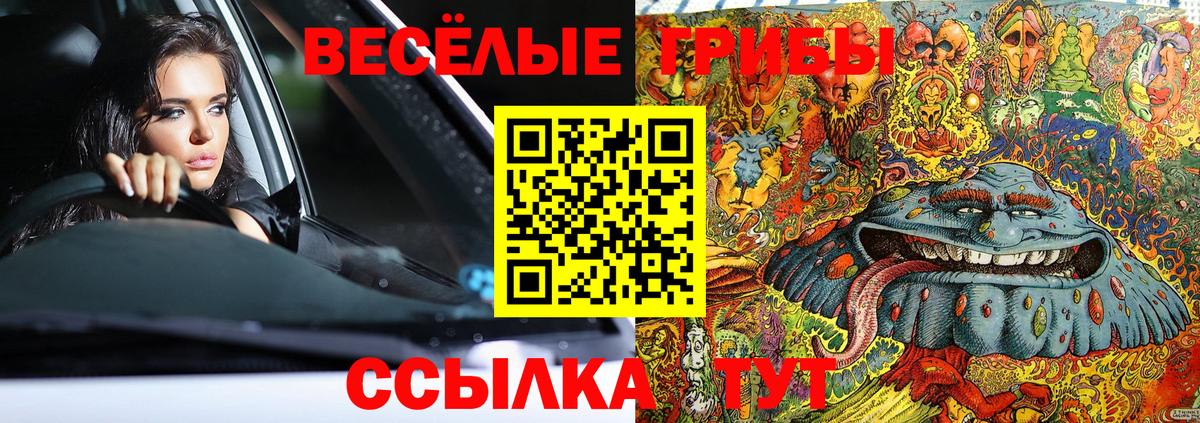 Арсеньев  Псилоцибиновые грибы MAGIC MUSHROOMS  Вход с VPN 