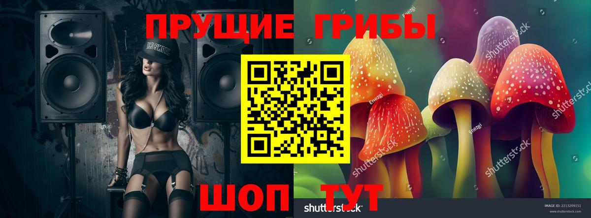 Псилоцибиновые грибы Psilocybine cubensis Арсеньев